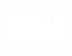 icon-visa